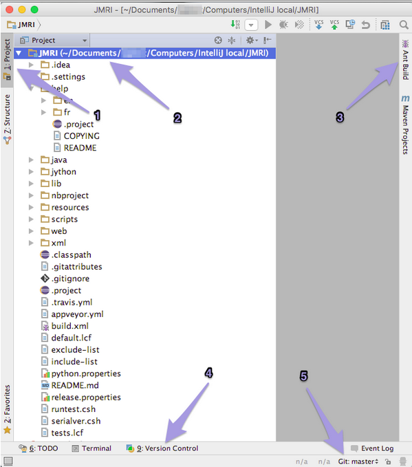 IntelliJ main project window